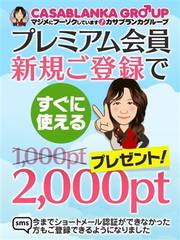��������϶މ��(20��)