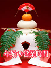 �V�N�̉c�Ǝ���