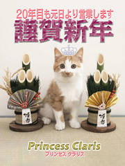 2026�N�މ�V�N(��)